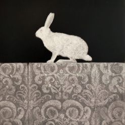 Plume by Corran Brownlee