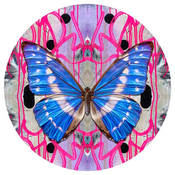 Great_Eastern_Blue_III-89x89-framed-1250