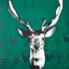 TRAFFORD-deers-are-not-dear-IIII