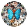 Dutch Urban Morpho (circle)