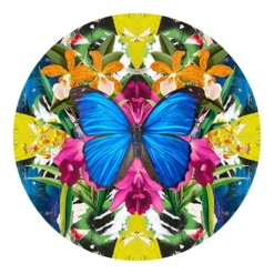 Blue Morpho with Orchids by Evi Antonio