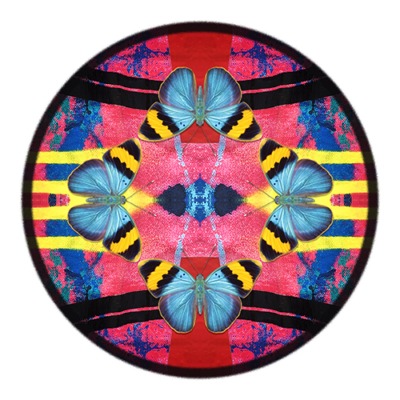 Calvins Gold Foresters