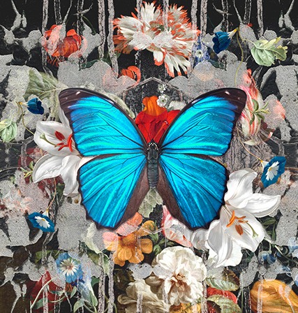 Blue Morpho Banner